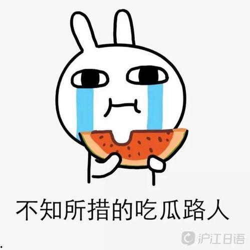 娱乐吃瓜酱读书